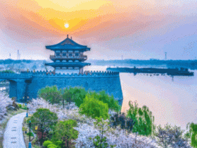 【文化瀍河】第六节 中国佛教的“祖庭”和“释源”——白马寺(佛事活动)
