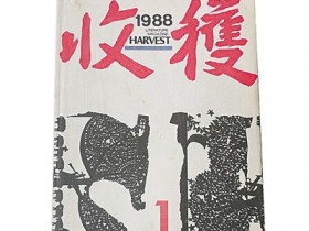 广漠中有生命的穿行,壮阔中有灵动的游走