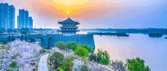 【文化瀍河】第六节 中国佛教的“祖庭”和“释源”——白马寺（佛事活动）